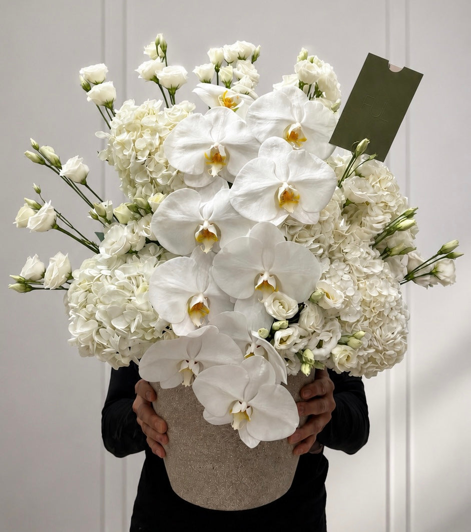 Cloud Bloom