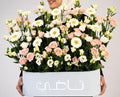 Blush Bloom